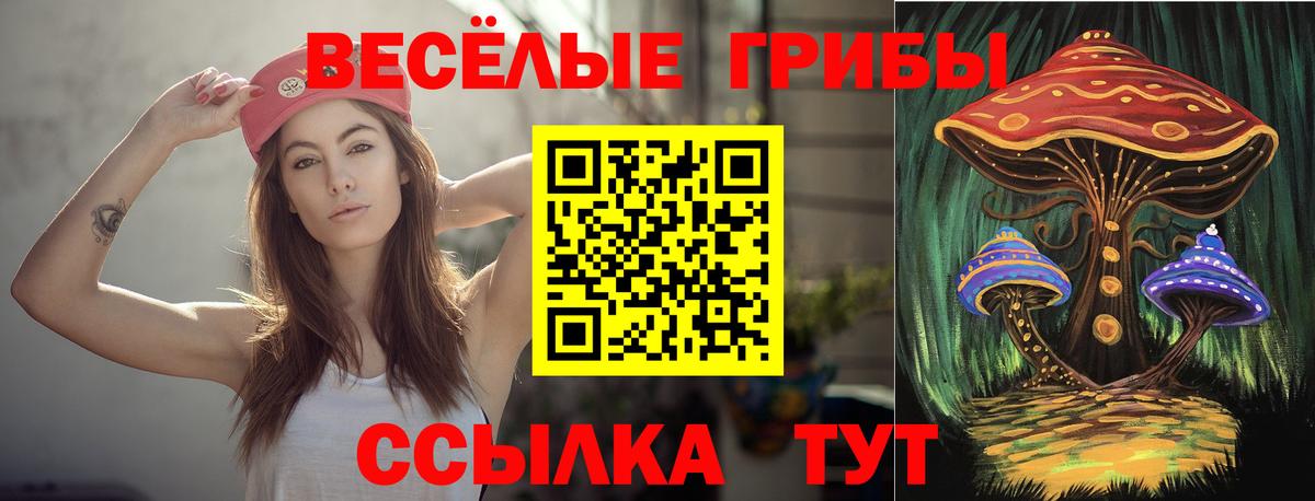 Корсаков  Галлюциногенные грибы GOLDEN TEACHER  Вход с VPN 